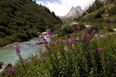 escapade nature en famille Mont-Blanc-Italie week end enfant