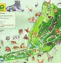 Dinopark bratislava