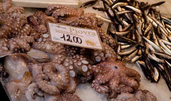venise pour les enfants marché voyage à venise en famille