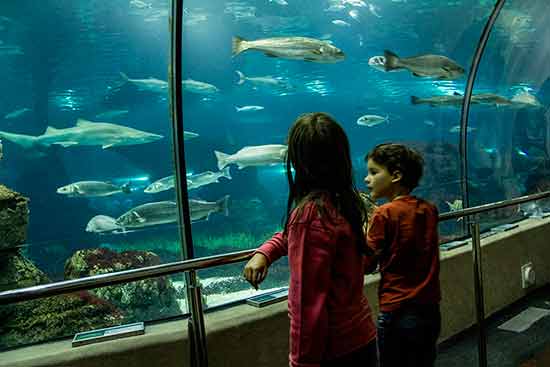 enfants-aquarium-barcelone