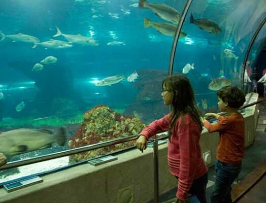 enfants à Aquarium-barcelone