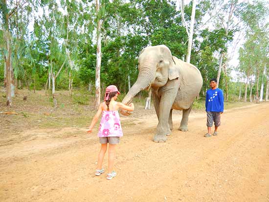 enfant-avec-elephant-thailande soin
