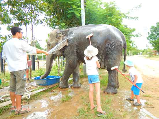 enfants-avec-elephant-thailande soin