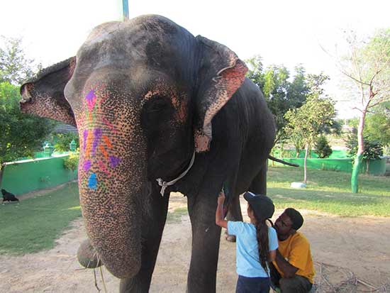 elephant-en-inde-avec-enfants
