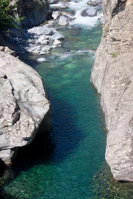 rivière-val-asco-en-Corse