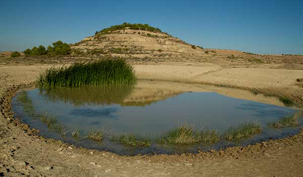 étang-désert-bardenas-espagne