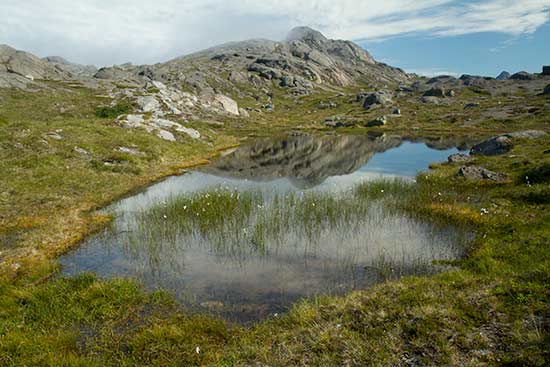 Lofoten-Rando-norvege