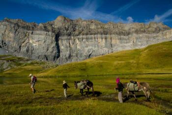 vacances en famille nature animaux