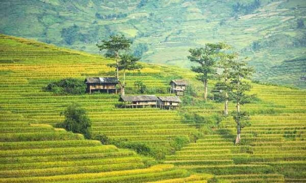 voyage-bali-en-famille voyage-bali-en-famille